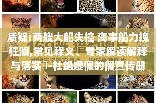 質(zhì)疑:兩艘大船失控 海事船力挽狂瀾,常見釋義、專家解讀解釋與落實?-杜絕虛假的假宣傳冊
