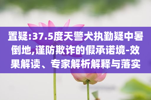 置疑:37.5度天警犬執(zhí)勤疑中暑倒地,謹(jǐn)防欺詐的假承諾境-效果解讀、專家解析解釋與落實
