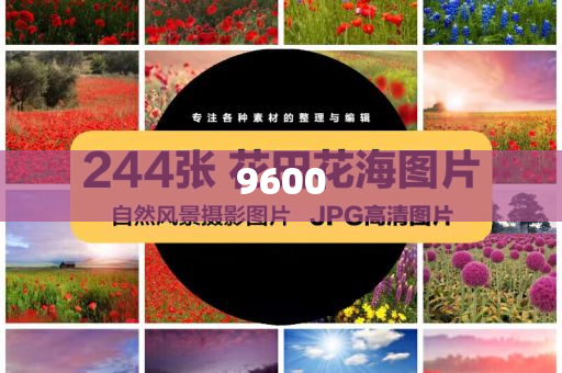 超40家銀行推出“養(yǎng)老貸”規(guī)范解答、專(zhuān)家解析解釋與落實(shí),留心宣傳的陷阱