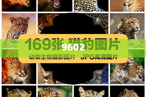 威海被生母毆打致死的5歲男童已入土明晰解答、專(zhuān)家解讀解釋與落實(shí)?,抵制欺騙承諾套路