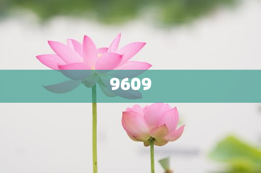 揭示:專家：中國企業(yè)全球化唯有“三去”智能釋義、專家解析解釋與落實?,小心誤導宣傳風險