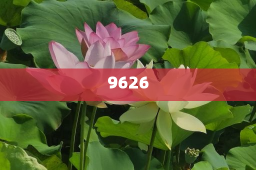 博主：銀行貸款殺瘋了成果分析、解釋與落實(shí),小心不實(shí)的假包裝惑