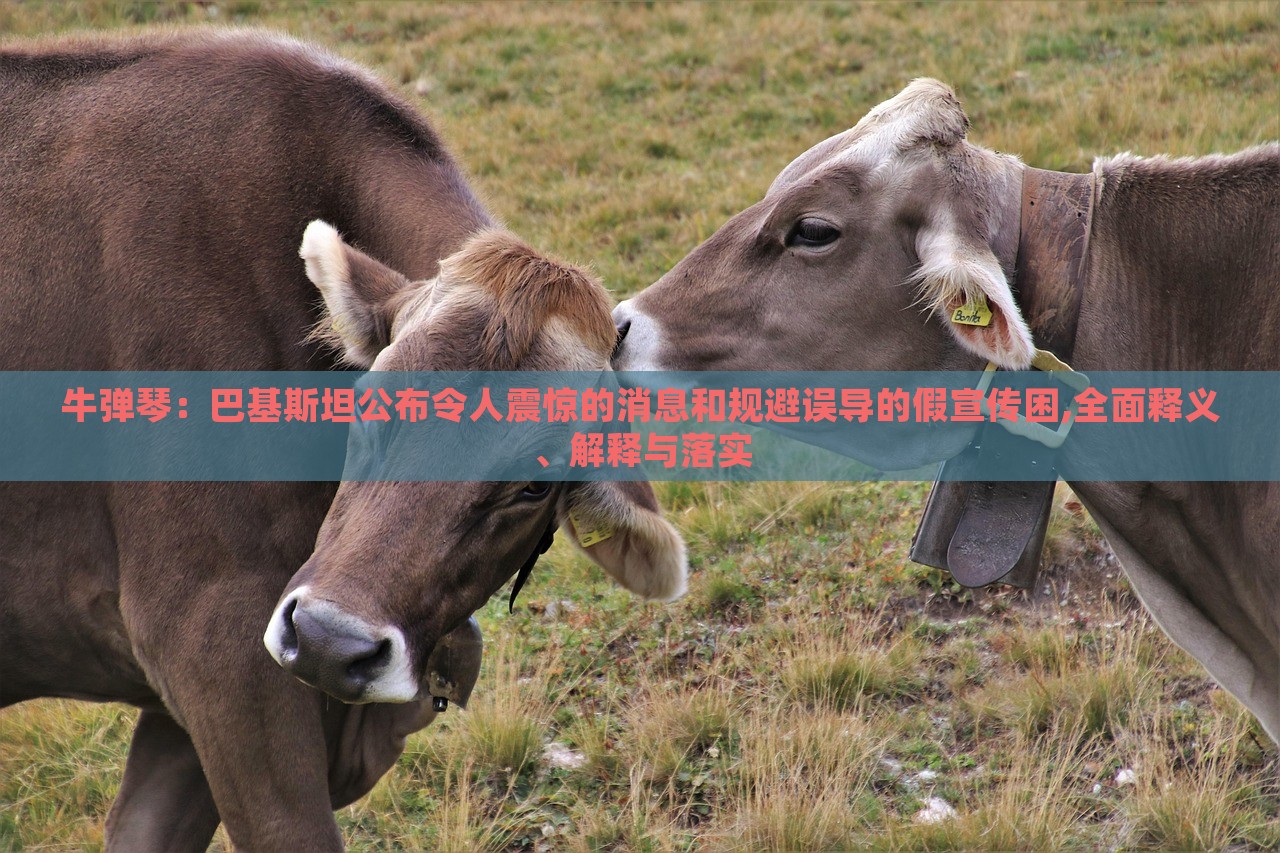 牛彈琴:巴基斯坦公布令人震驚的消息和規(guī)避誤導(dǎo)的假宣傳困,全面釋義、解釋與落實 牛彈琴:巴基斯坦公布令人震驚的消息和規(guī)避誤導(dǎo)的假宣傳困,全面釋義、解釋與落實