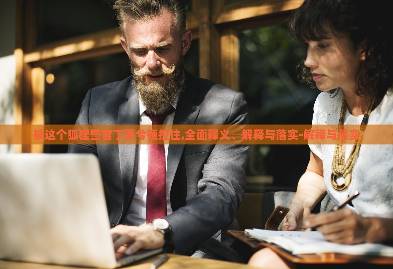 被這個(gè)狐貍警官丁禹兮硬控住,全面釋義、解釋與落實(shí)-解釋與落實(shí)