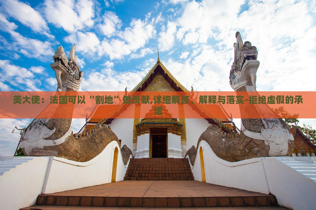 美大使：法國可以“割地”做貢獻(xiàn),詳細(xì)解答、解釋與落實(shí)-拒絕虛假的承諾