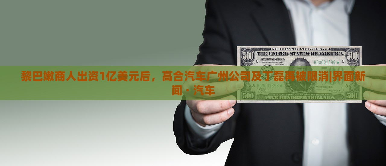 黎巴嫩商人出資1億美元后，高合汽車廣州公司及丁磊再被限消|界面新聞 · 汽車