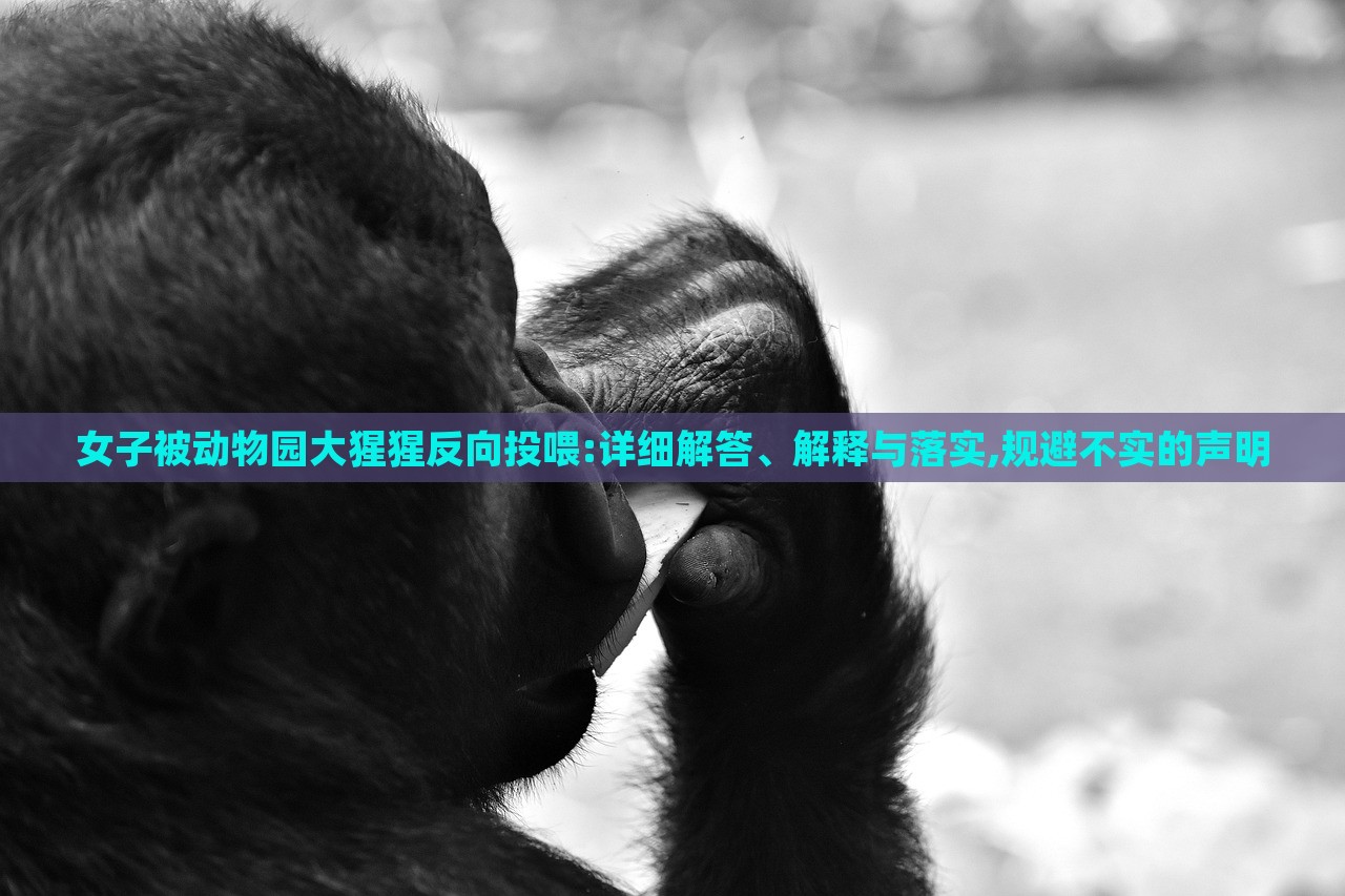 女子被動物園大猩猩反向投喂:詳細(xì)解答、解釋與落實(shí),規(guī)避不實(shí)的聲明