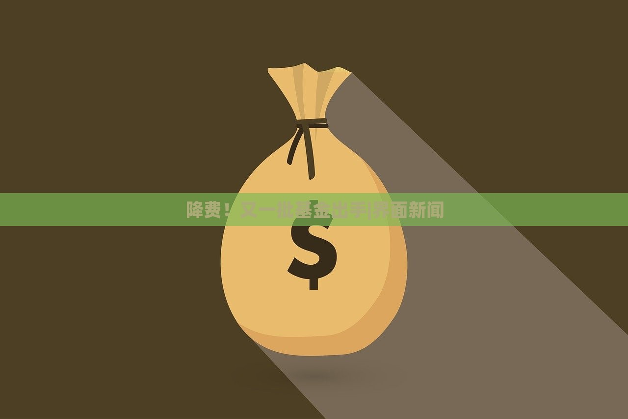 降費(fèi)！又一批基金出手|界面新聞