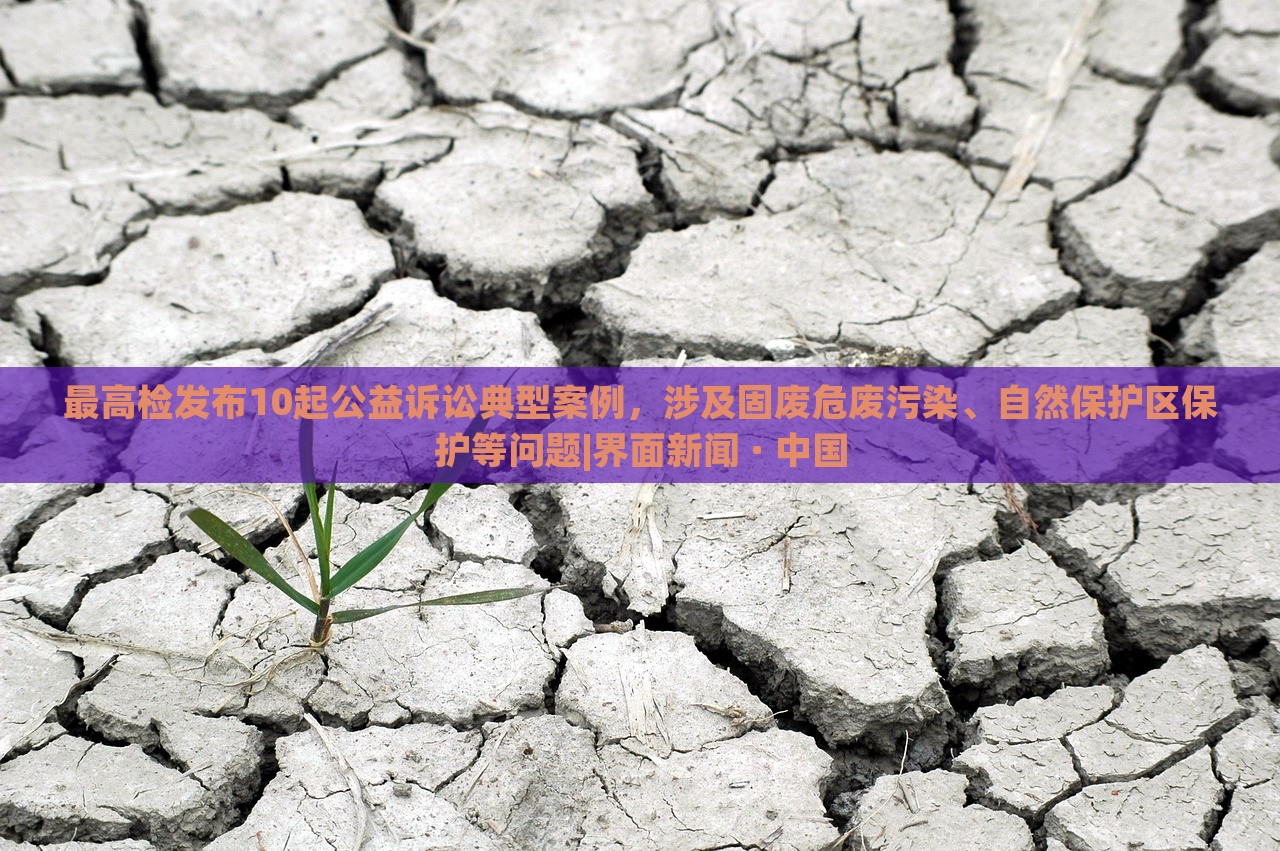 最高檢發(fā)布10起公益訴訟典型案例,涉及固廢危廢污染、自然保護(hù)區(qū)保護(hù)等問(wèn)題|界面新聞 · 中國(guó) 最高檢發(fā)布10起公益訴訟典型案例,涉及固廢危廢污染、自然保護(hù)區(qū)保護(hù)等問(wèn)題|界面新聞 · 中國(guó)