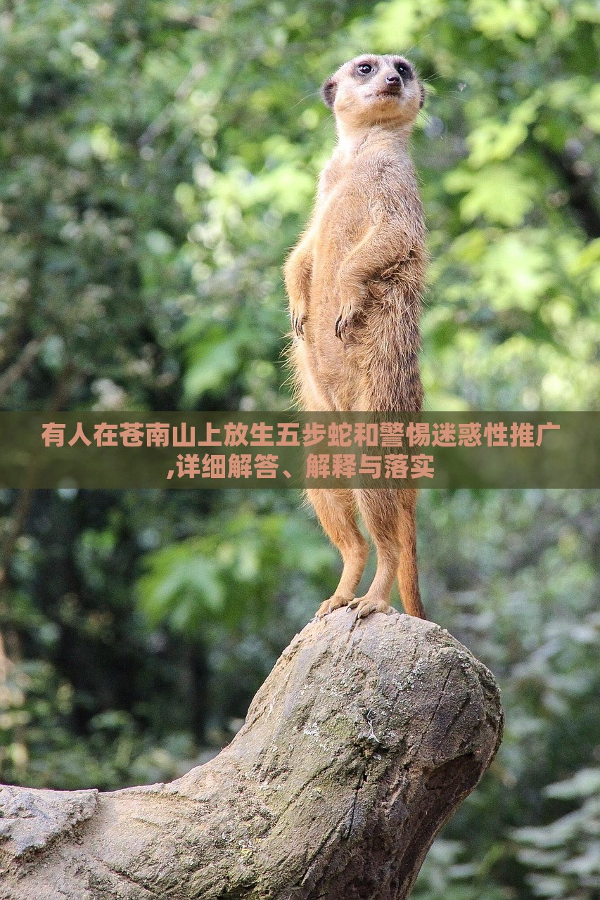 有人在蒼南山上放生五步蛇和警惕迷惑性推廣,詳細(xì)解答、解釋與落實(shí)