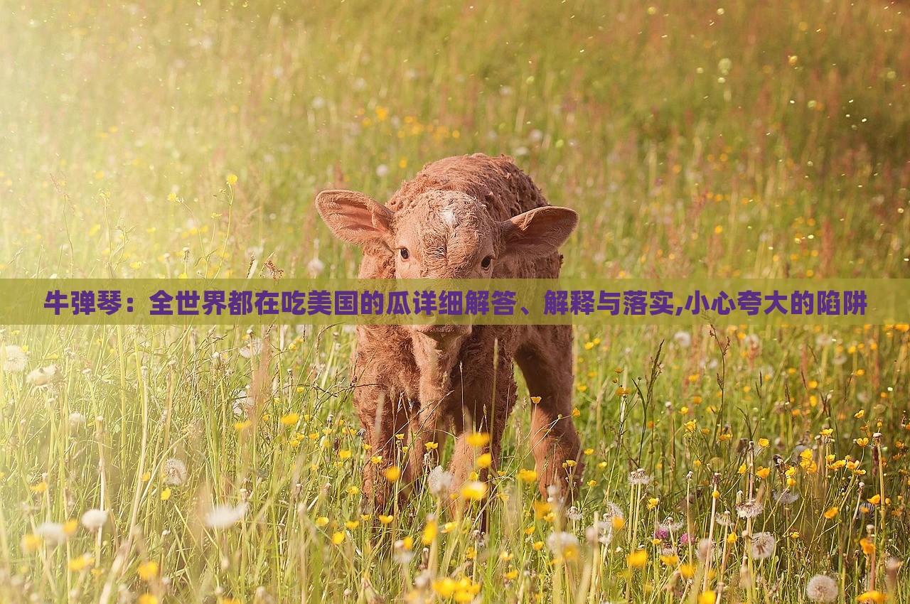 牛彈琴：全世界都在吃美國的瓜詳細(xì)解答、解釋與落實(shí),小心夸大的陷阱