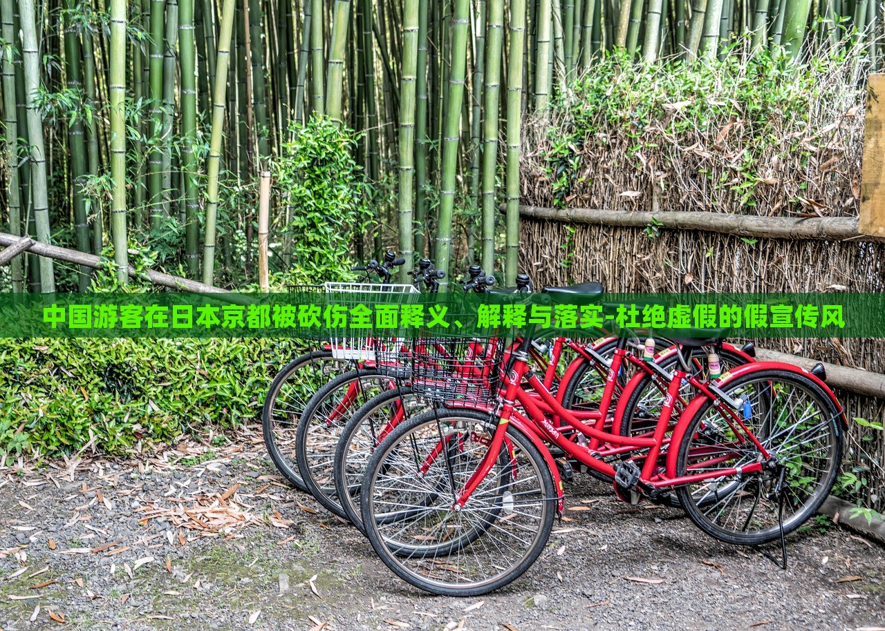 中国游客在日本京都被砍伤全面释义、解释与落实-杜绝虚假的假宣传风