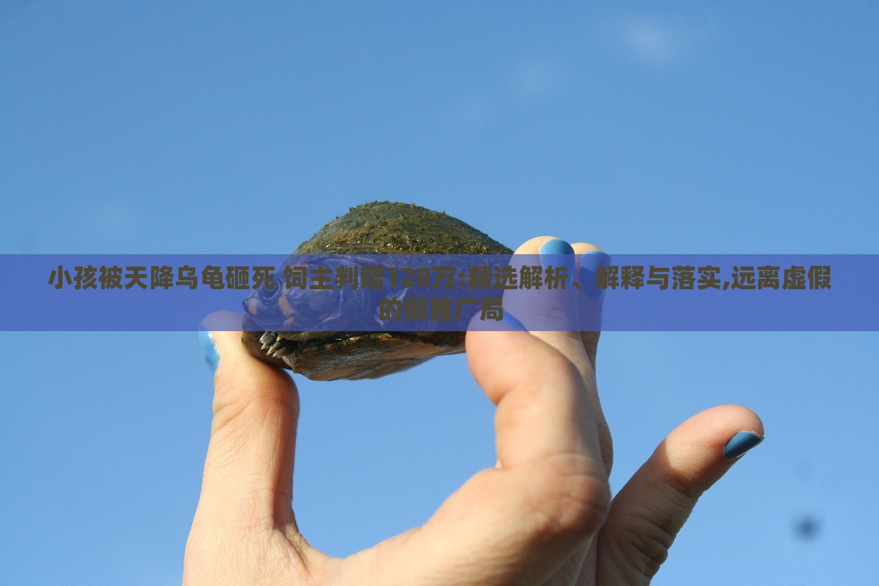 小孩被天降乌龟砸死 饲主判赔128万:精选解析、解释与落实,远离虚假的假推广局