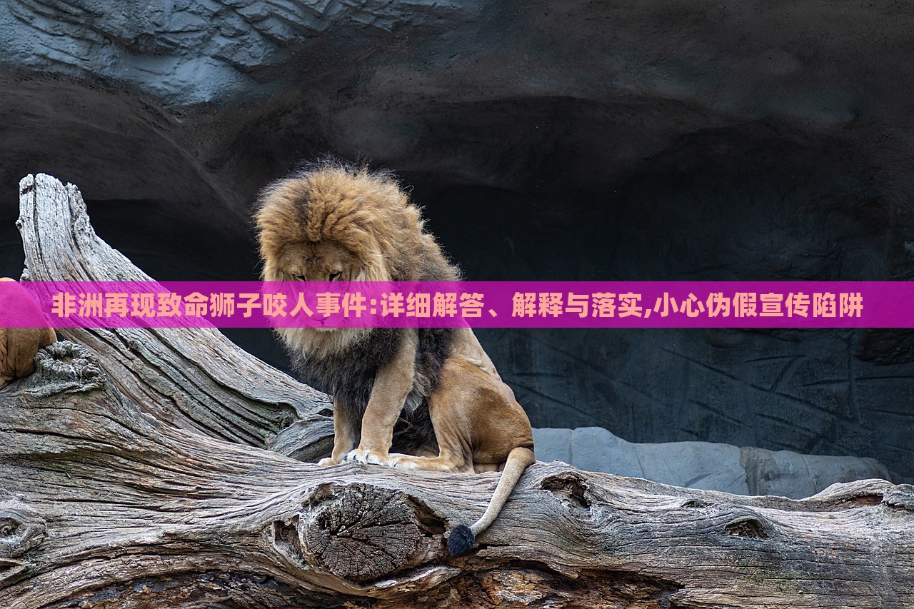 非洲再现致命狮子咬人事件:详细解答、解释与落实,小心伪假宣传陷阱