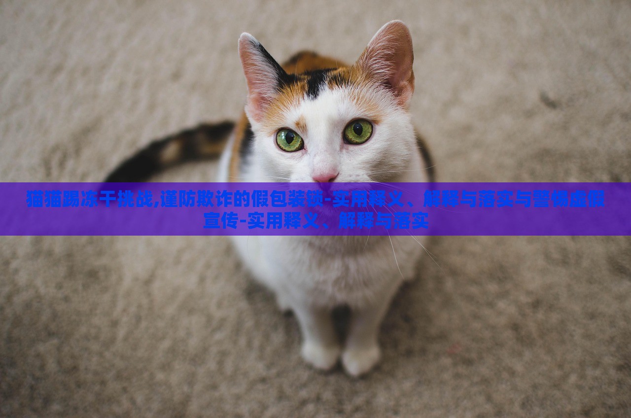 猫猫踢冻干挑战,谨防欺诈的假包装锁-实用释义、解释与落实与警惕虚假宣传-实用释义、解释与落实