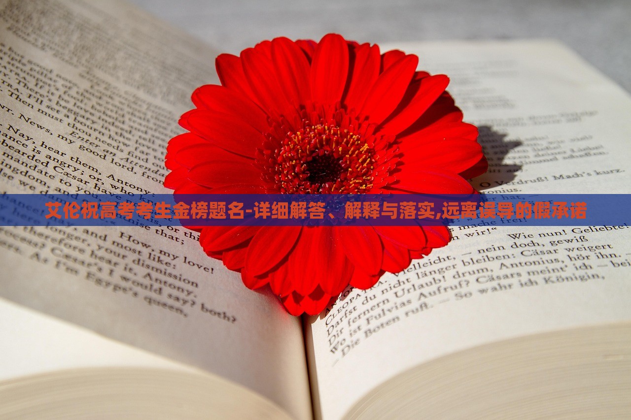 艾伦祝高考考生金榜题名-详细解答、解释与落实,远离误导的假承诺