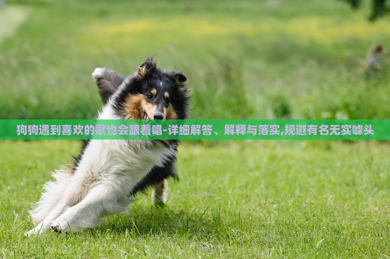 狗狗遇到喜欢的歌也会跟着唱-详细解答、解释与落实,规避有名无实噱头