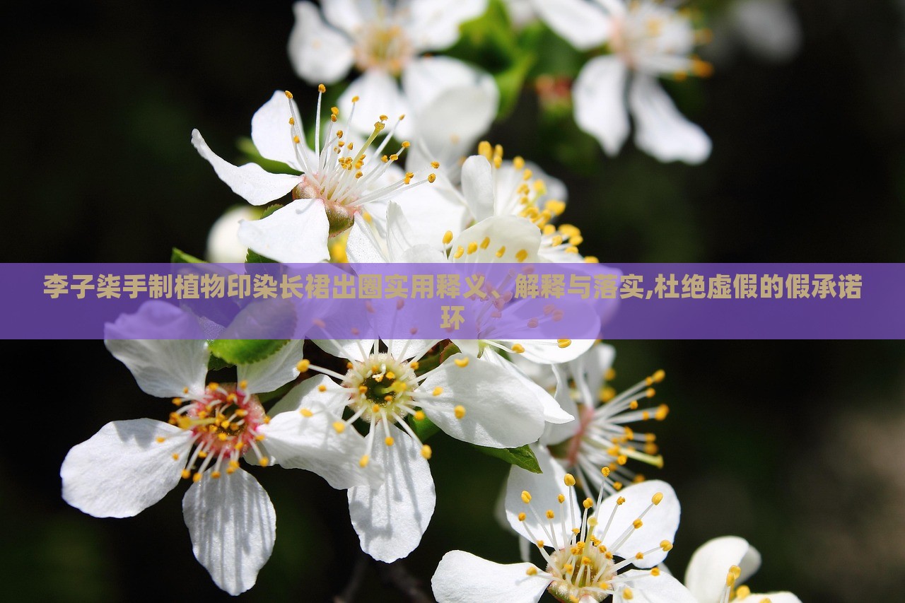 李子柒手制植物印染长裙出圈实用释义、解释与落实,杜绝虚假的假承诺环
