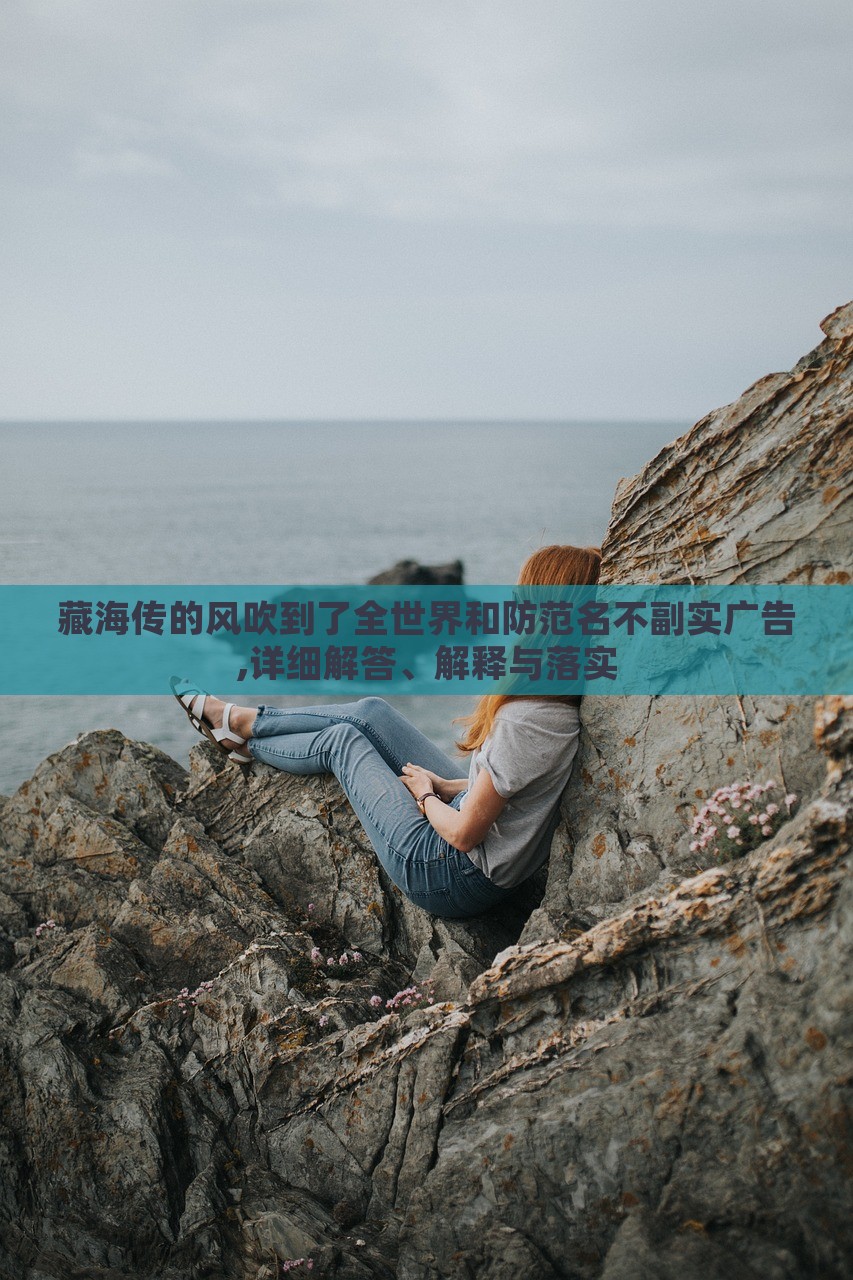 藏海传的风吹到了全世界和防范名不副实广告,详细解答、解释与落实
