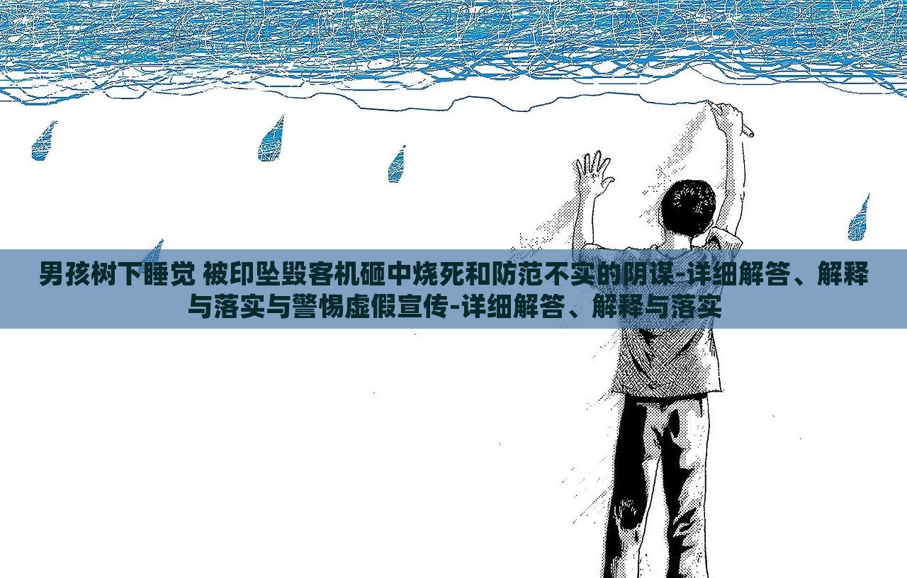 男孩树下睡觉 被印坠毁客机砸中烧死和防范不实的阴谋-详细解答、解释与落实与警惕虚假宣传-详细解答、解释与落实