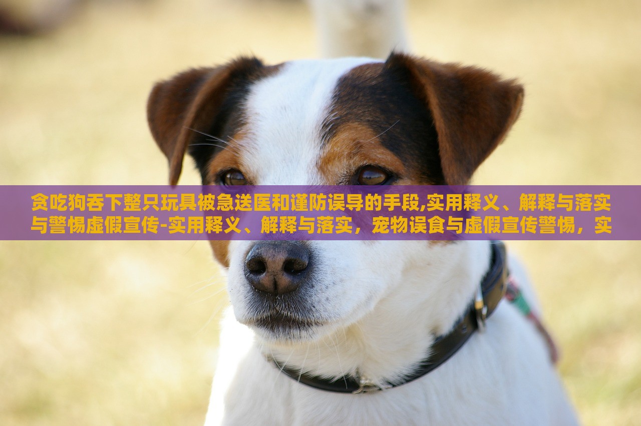 贪吃狗吞下整只玩具被急送医和谨防误导的手段,实用释义、解释与落实与警惕虚假宣传-实用释义、解释与落实，宠物误食与虚假宣传警惕，实用指南与案例分析