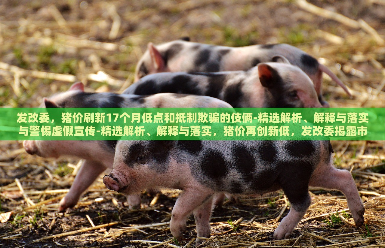 发改委，猪价刷新17个月低点和抵制欺骗的伎俩-精选解析、解释与落实与警惕虚假宣传-精选解析、解释与落实，猪价再创新低，发改委揭露市场伎俩与虚假宣传风险解析