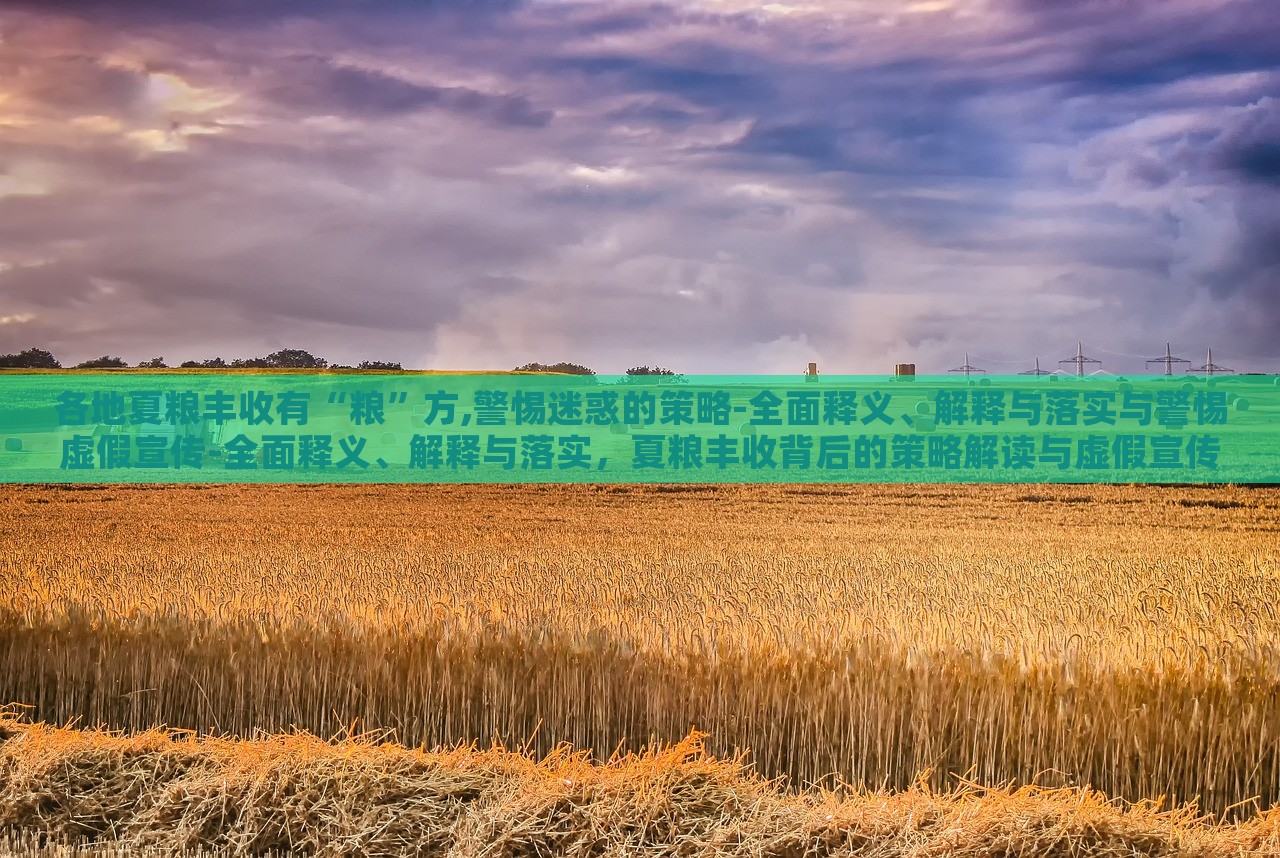 各地夏粮丰收有“粮”方,警惕迷惑的策略-全面释义、解释与落实与警惕虚假宣传-全面释义、解释与落实，夏粮丰收背后的策略解读与虚假宣传警示