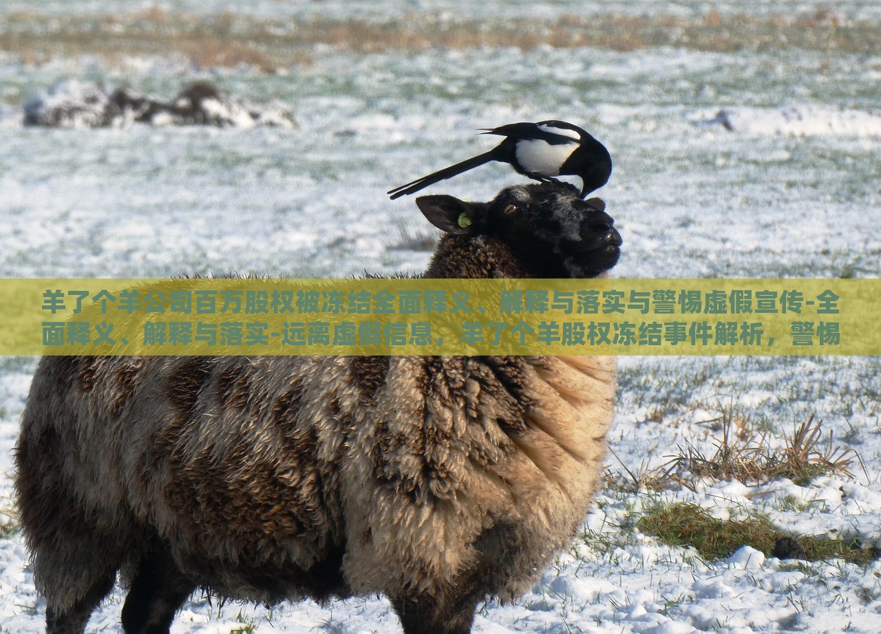 羊了个羊公司百万股权被冻结全面释义、解释与落实与警惕虚假宣传-全面释义、解释与落实-远离虚假信息，羊了个羊股权冻结事件解析，警惕虚假宣传风险