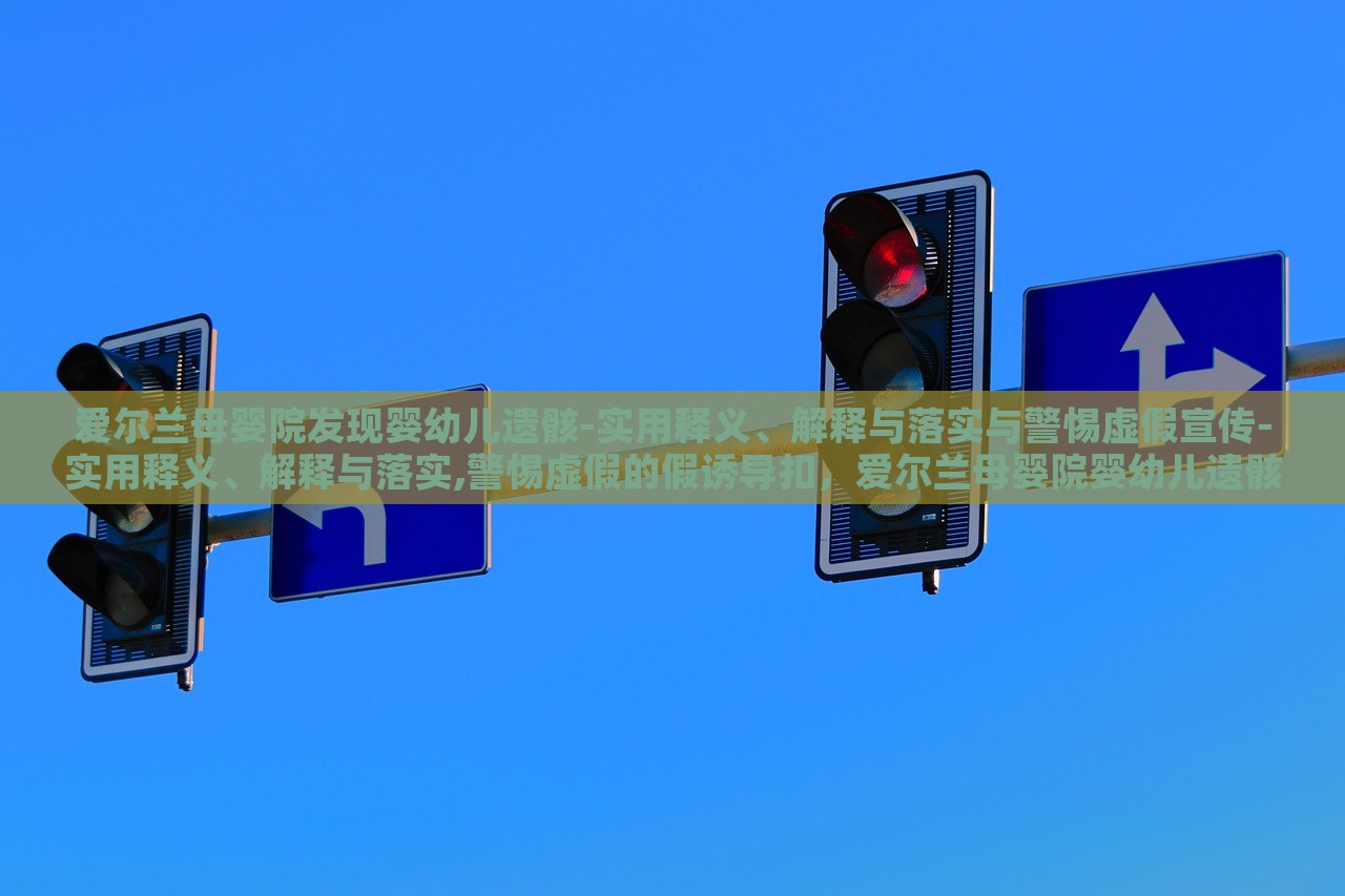 爱尔兰母婴院发现婴幼儿遗骸-实用释义、解释与落实与警惕虚假宣传-实用释义、解释与落实,警惕虚假的假诱导扣，爱尔兰母婴院婴幼儿遗骸事件，真相揭秘与虚假宣传警示