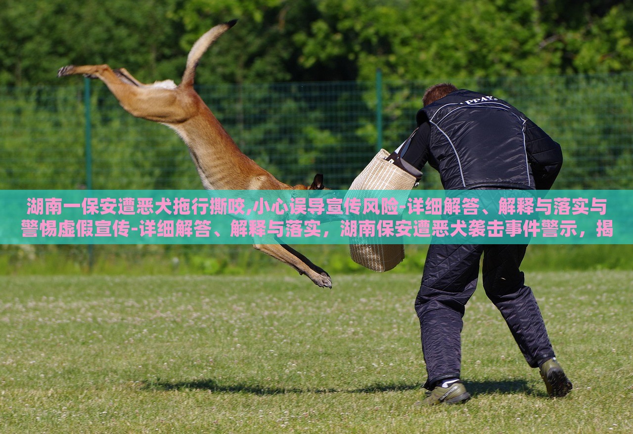 湖南一保安遭恶犬拖行撕咬,小心误导宣传风险-详细解答、解释与落实与警惕虚假宣传-详细解答、解释与落实，湖南保安遭恶犬袭击事件警示，揭秘虚假宣传风险与应对策略