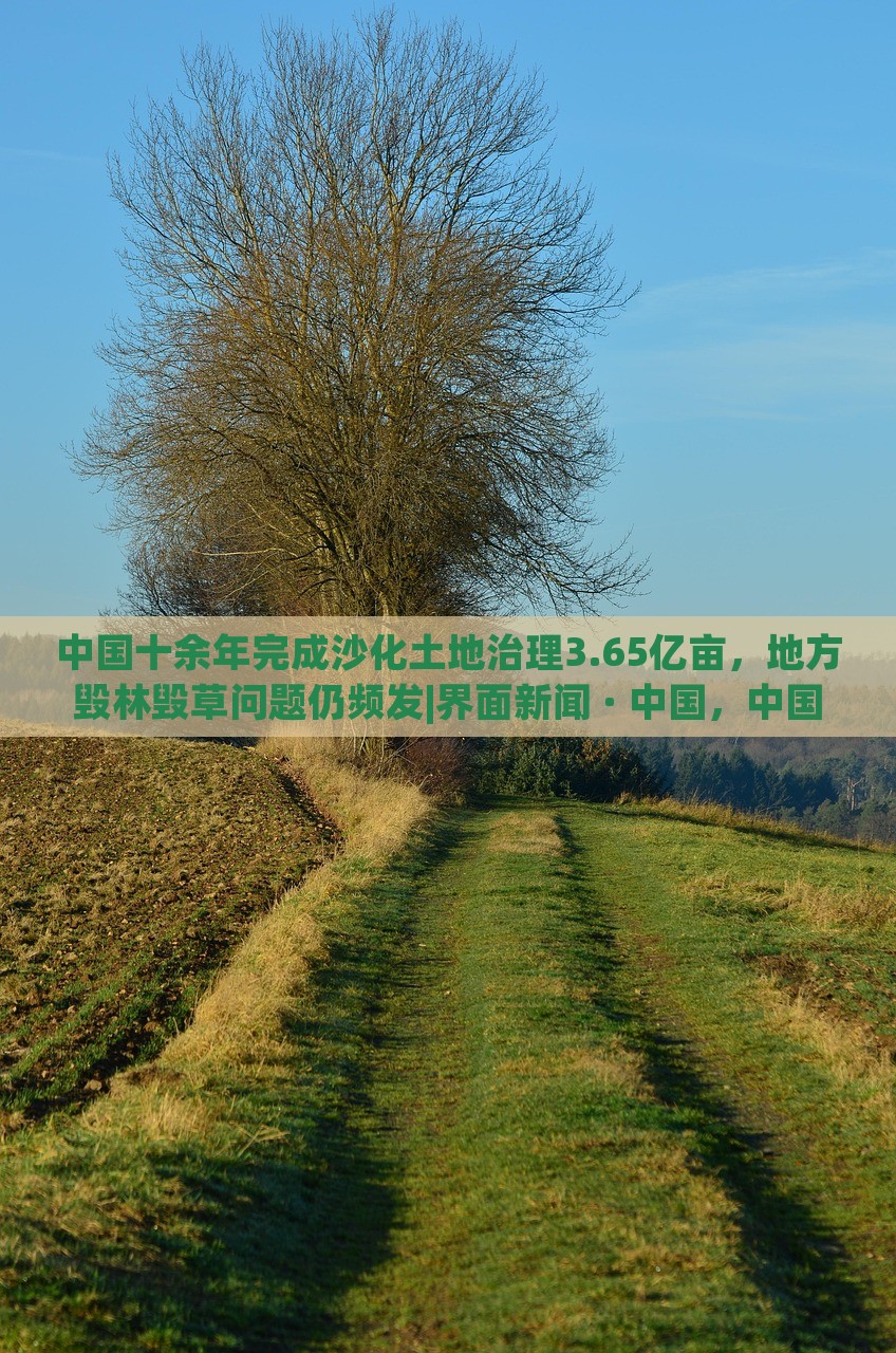 中国十余年完成沙化土地治理3.65亿亩，地方毁林毁草问题仍频发|界面新闻 · 中国，中国沙化土地治理成就显著，地方毁林毁草问题待解