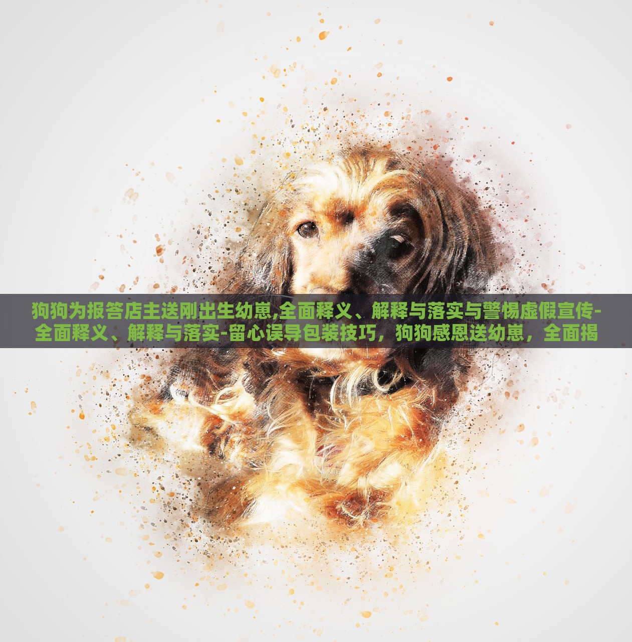 狗狗为报答店主送刚出生幼崽,全面释义、解释与落实与警惕虚假宣传-全面释义、解释与落实-留心误导包装技巧，狗狗感恩送幼崽，全面揭秘真实与虚假宣传的界限