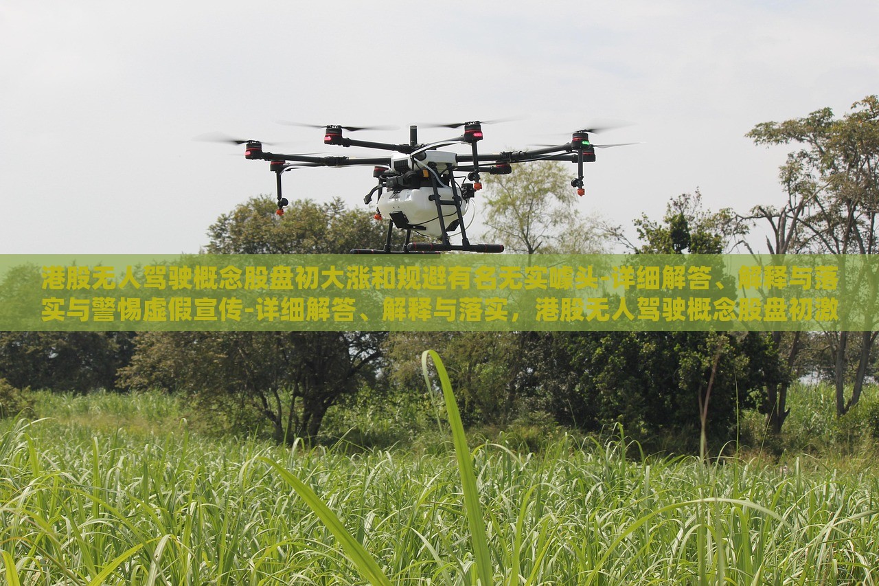 港股无人驾驶概念股盘初大涨和规避有名无实噱头-详细解答、解释与落实与警惕虚假宣传-详细解答、解释与落实，港股无人驾驶概念股盘初激增，揭秘涨势背后的真相与风险警示