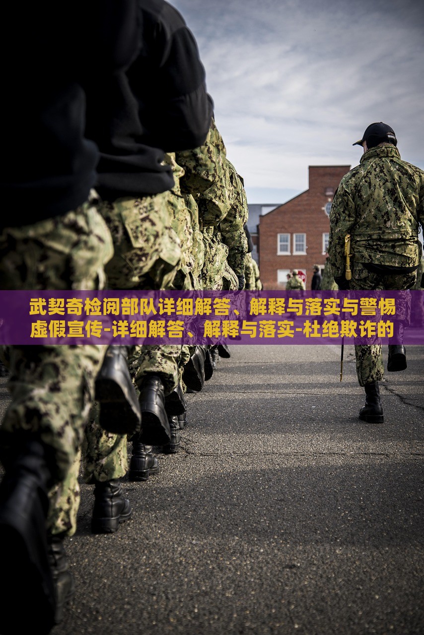 武契奇检阅部队详细解答、解释与落实与警惕虚假宣传-详细解答、解释与落实-杜绝欺诈的巧言辞，武契奇检阅部队，揭秘真实情况与防范虚假宣传策略